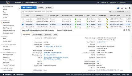 image-vpx-aws-gslb-bereitstellung-06