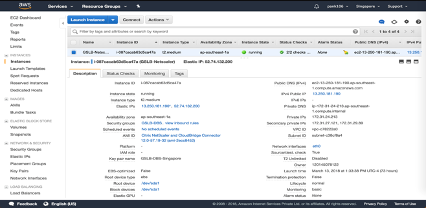 image-vpx-aws-gslb-bereitstellung-09