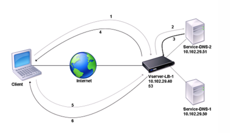 NetScaler作为DNS代理