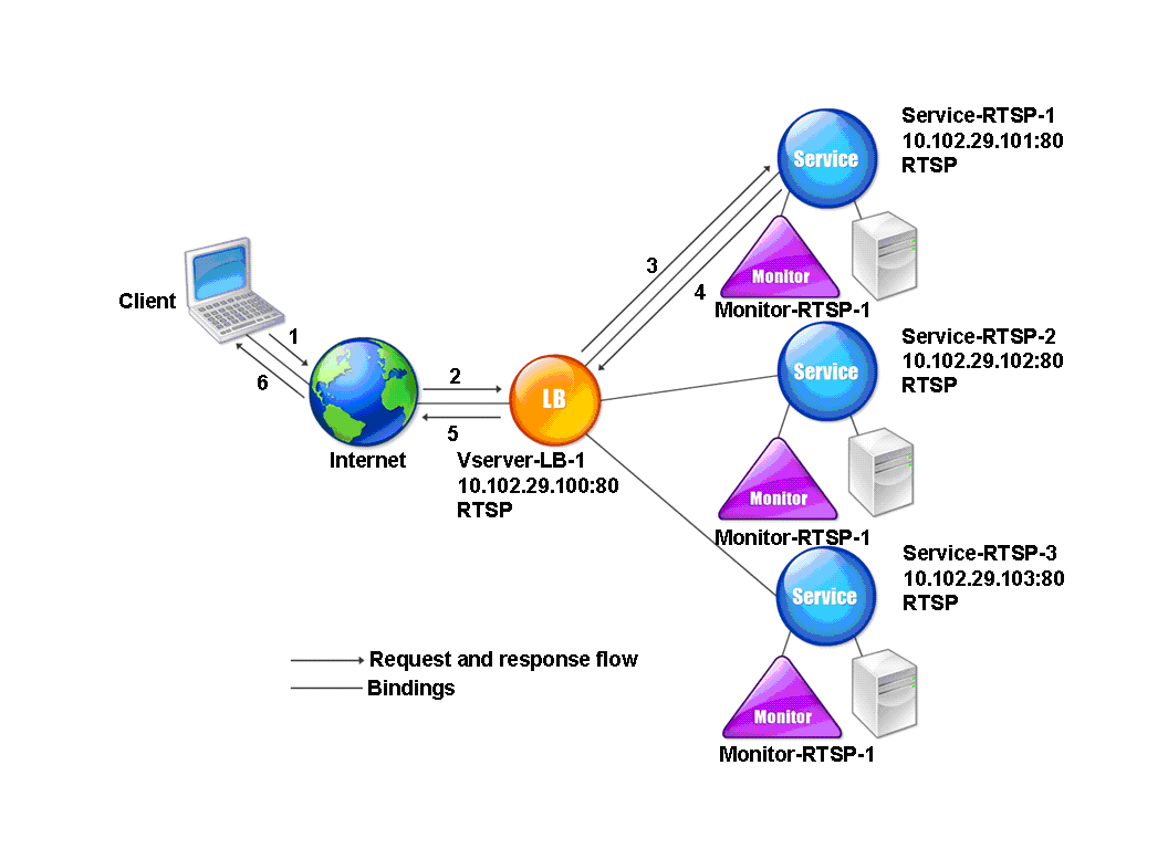 RTSP实体模型