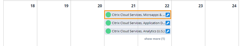 Service health calendar view with entries highlighted