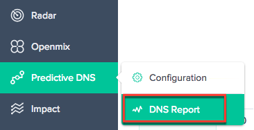 DNS报告导航