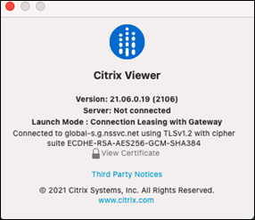 Citrix Viewer窗口