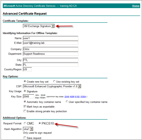 Image de l'option Demander un certificat avancé