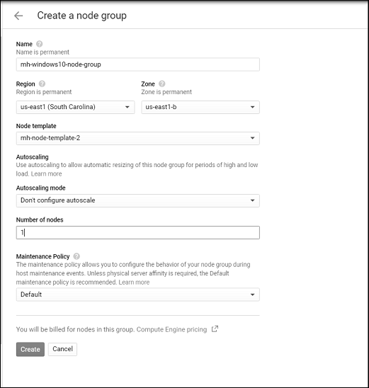 Sole Tenant Node Group