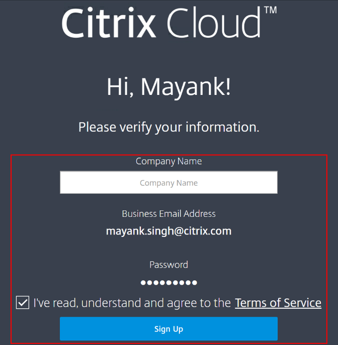 Citrix虚拟桌面服务- Geben Sie den Firmennamen in and stimings Sie den Nutzungsbedingungen zu