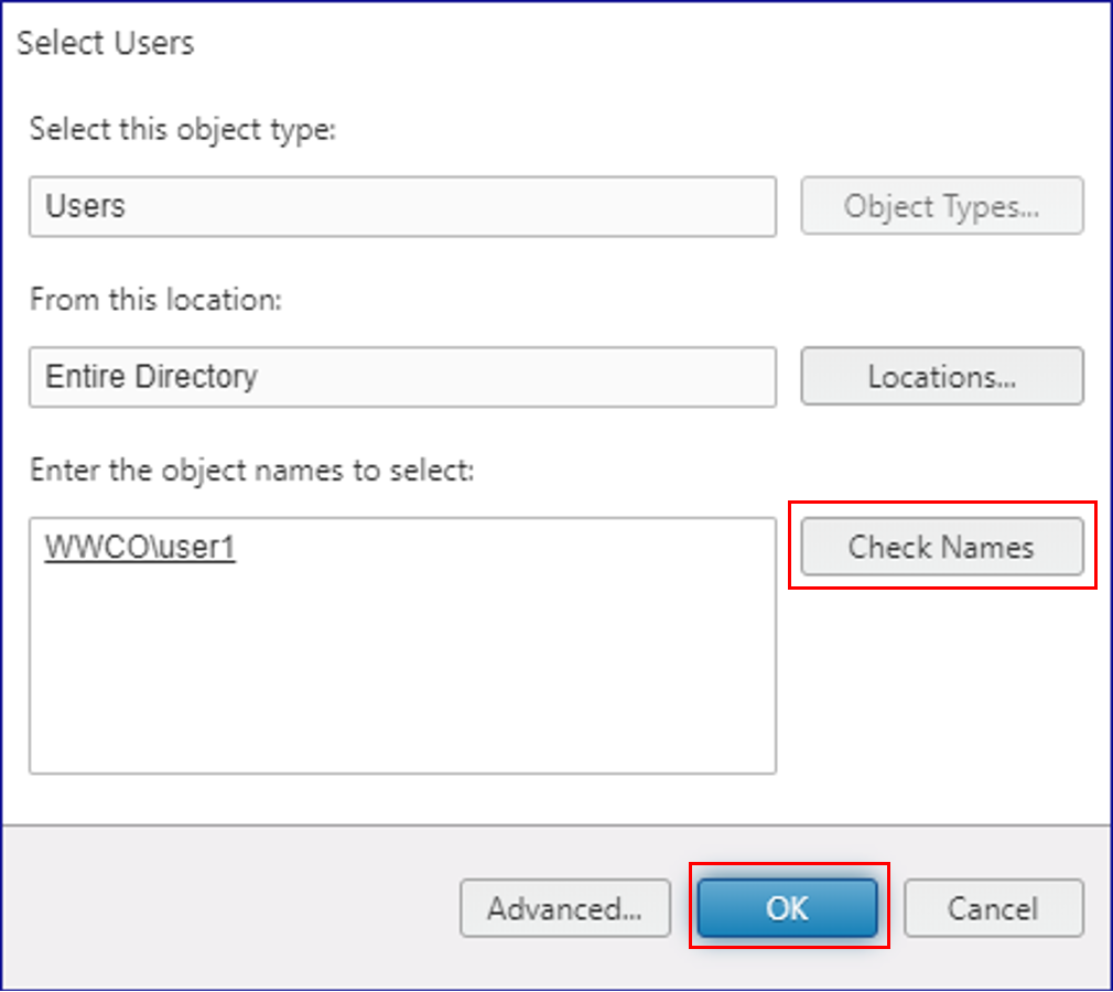 Citrix DaaS: seleccione un usuario y haga clic en Aceptar