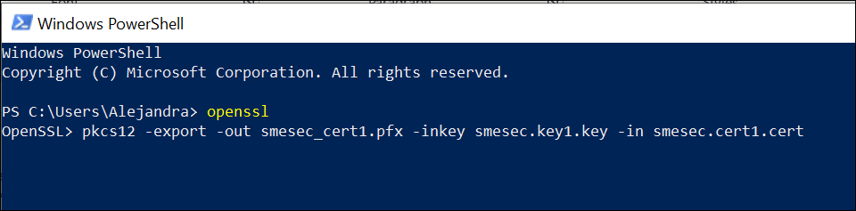 PowerShell-Screenshot