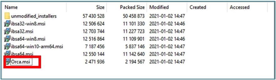 Citrix SIA 代理 MSI