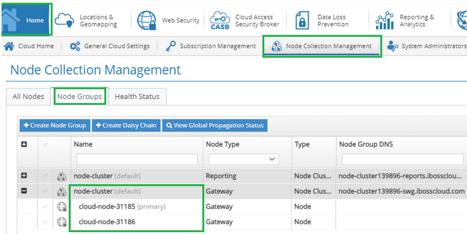 Citrix SIA View Cloud Nodes