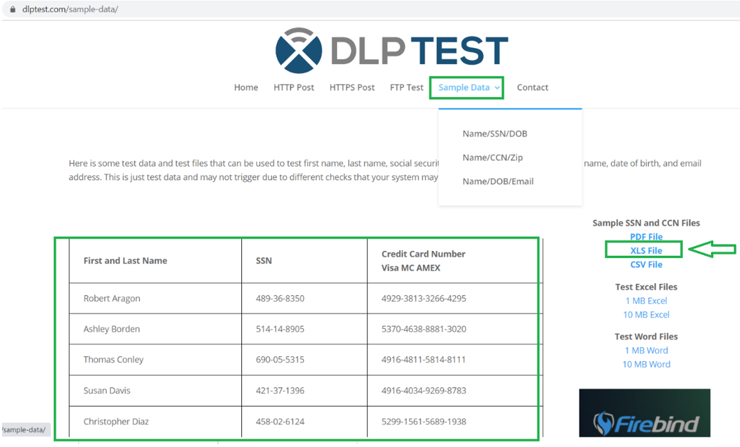 DLP Test site download Excel