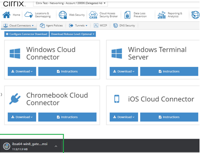 Citrix SIA Agent Installieren Sie den CSIA Agenten unter Windows