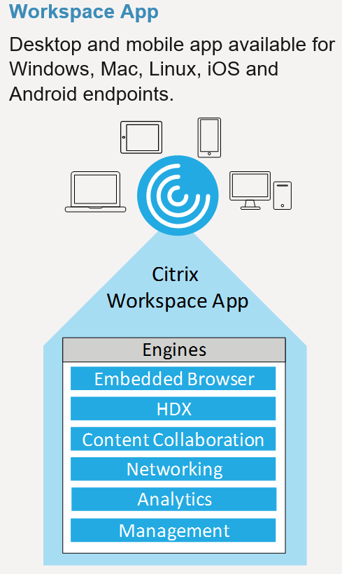 Présentationde l'Application Citrix Workspace