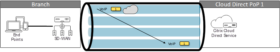 Protection VoIP