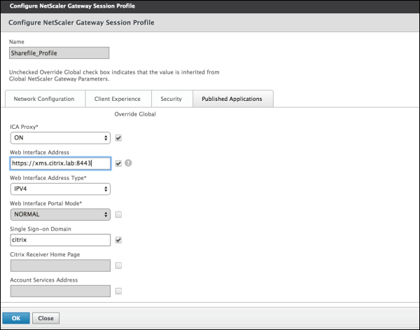 Citrix Gateway 会话配置文件屏幕