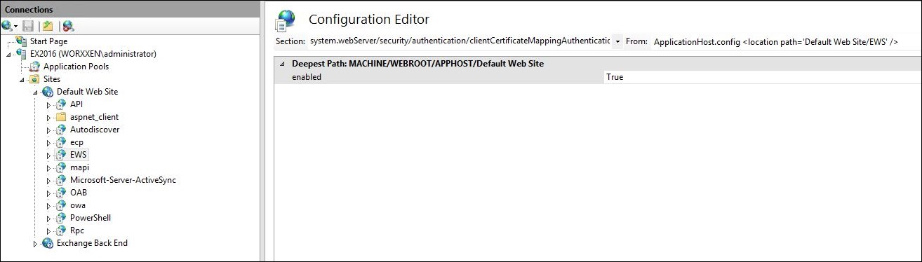 Imagen de IIS Manager Console