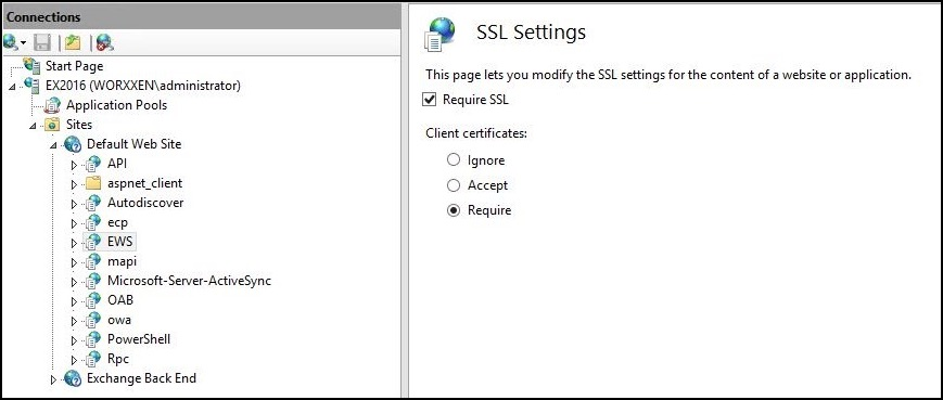 Image of IIS Manager Console