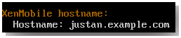 Host name