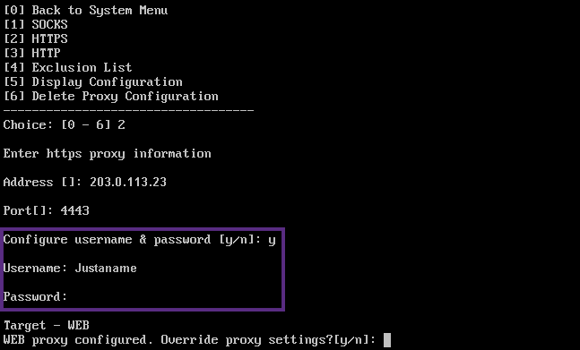 Image of proxy server setup